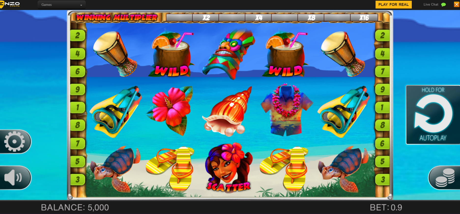 Play Hawaii Vacation slot