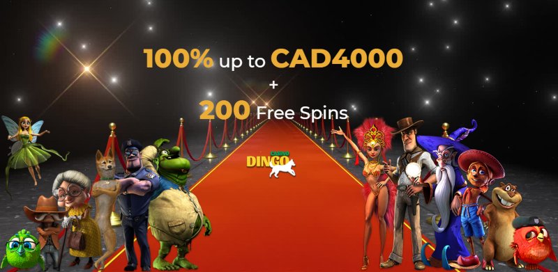 Dingo Casino Bonus